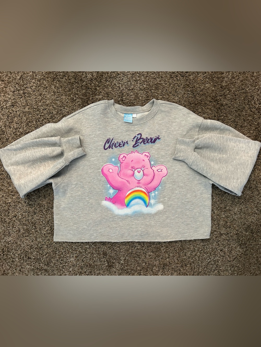 Cheer Bear (Care Bears) Pink Graphic Sweatshirt - Grey